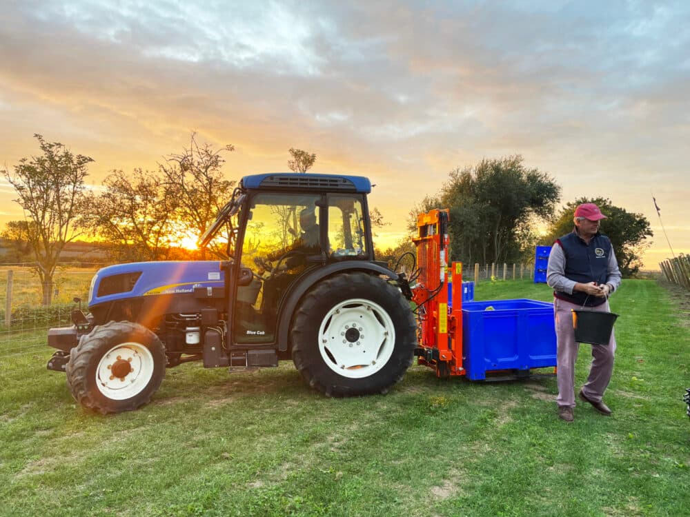 Harvest 2021