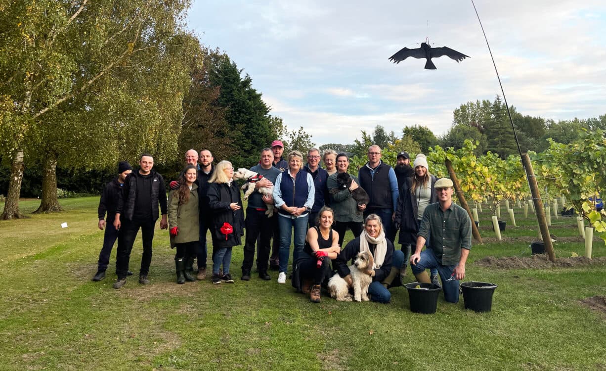 The picking team 2021